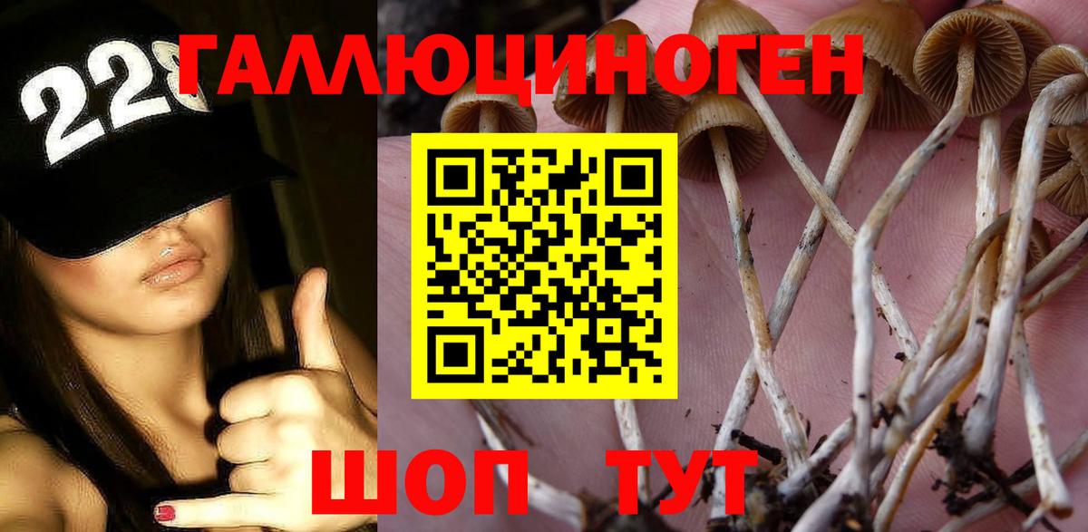 Псилоцибиновые грибы Cubensis Мичуринск