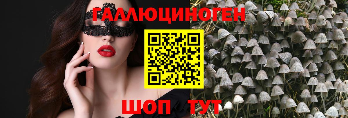 Мичуринск  Галлюциногенные грибы мухоморы  Вход с VPN 